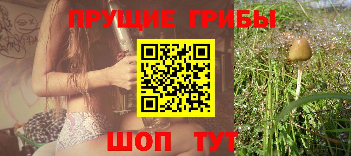 Псилоцибиновые грибы Cubensis  Галлюциногенные грибы Magic Shrooms  Вход с VPN  Великий Новгород 